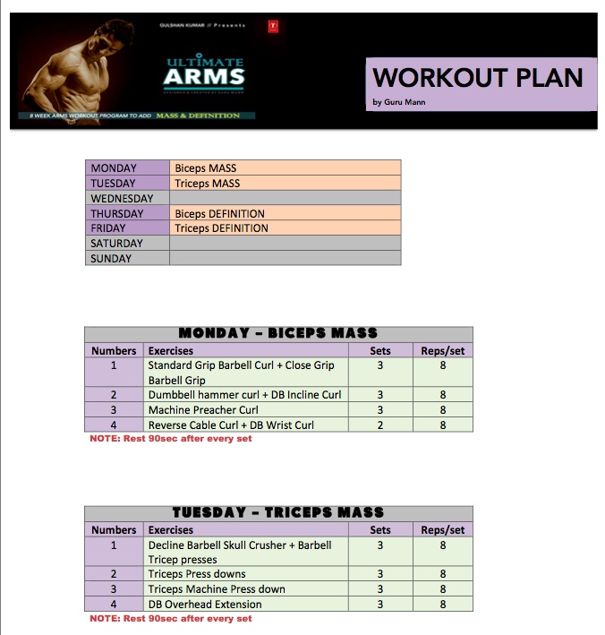 Guru mann home workout pdf deals
